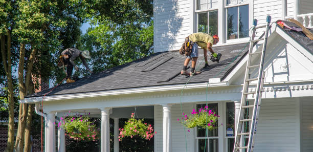 Best Roof Gutter Cleaning  in Wadley, GA